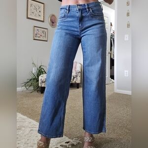 American Eagle Outfitters Medium Blue Wide Leg Jeans